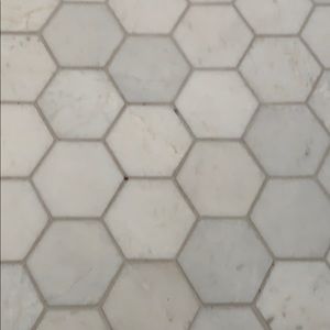 Meet your Posher, Jolyne